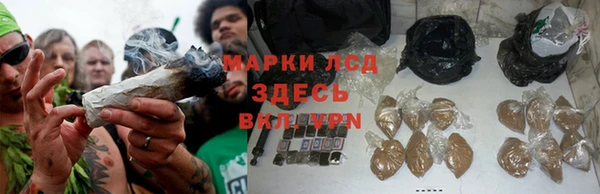 ALPHA PVP Горнозаводск