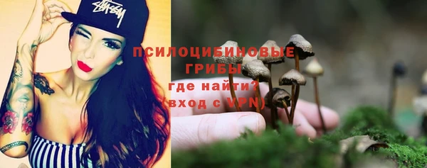 меф Гусев