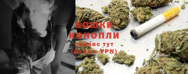 молекула духа Гусиноозёрск