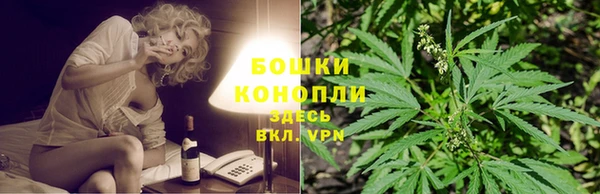 ALPHA PVP Горнозаводск