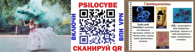 Галлюциногенные грибы Cubensis  Армавир 